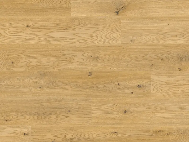 Elka 12mm Laminate – Sunrise Oak